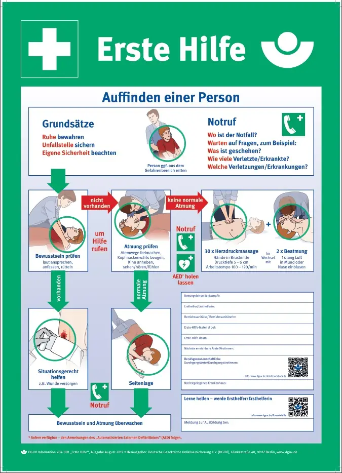 Schild Anleitung zur Ersten Hilfe bei Unfällen 56 x 40 cm